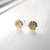 clam seashell