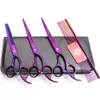 4Pcs Suit 7quot JP 440C Purple Dragon Professional Pets Grooming Hair Scissors Comb Cutting Shears Thinning Scissor UP Curv
