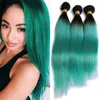 Fasci di capelli umani Remy Ombre verde scuro a due toni 1B Capelli lisci vergini brasiliani colorati verdi 3 pacchi Estensioni dei capelli verdi