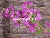 Bougainvillea di seta 120 cm/47,24 "Lunghezza Fiori artificiali Bougainvilleas Spectabilis Willd Wintersweet Plum Blossom per il fiore nuziale