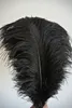 Whole 100pcslot Ostrich Feather Plumes Ostrich Feather Black for Wedding Centerpiece Wedding Decor Coetumes Party2630981