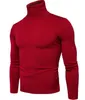 Haute Qualité Casual Pull Hommes Pulls Mode Automne Hiver Tricot À Manches Longues Col Roulé Tricots Chandails Multicolore M-XXL T170730