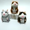Russisches sprechendes Hamster-Plüschtier, niedliches sprechendes Tonaufzeichnungs-Hamster-Haustier sprechendes Schallplatten-Maus-Plüsch-Kinderspielzeug 15 cm mit Kleinkasten DHT48