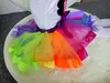 Faldas para niñas Disfraces para niños 1-7 años Niñas Estudiantes Show Faldas Baile Pompones Rainbow Faldas