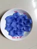 blauwe rozenblaadjes