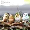 4 Style Micro Mini Fairy Garden Miniatury Figurki Owl Ptaki Zwierzęta Figura Figura Zabawki Ozdoba Akcesoria Terrarium Film Prop2478256