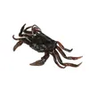 5pcs Artificial Soft Crab Fishing Lares 10 cm 8cm carpe pêche faux appâts mous LURS SETS 3 couleurs7179023
