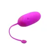 Sexprodukter vibratorer Pretty Love USB Rechargable Bluetooth Wireles App Remote Control Egg Vibrator Vibrator Sex Toys For Woman1607080