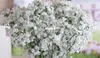 Gypsophila baby039s nefes yapay sahte ipek çiçekler bitki ev düğün dekorasyonu8272250