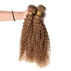 Elibess Hair-Peruaanse Jerry Krullend haar inslag 3 bundels 100g per stuk 27 # blonde kleur maagdelijk menselijk haarbundels