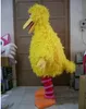 2017 Vente chaude Rhubarbe oiseau dessin animé poupée Costume de mascotte Livraison gratuite