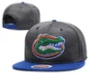 New Caps 2017 College Football Snapback Hats Cap Gray Color Norte Dame Team Hats Mix Match Order All Caps Top Quality Hat Wholesale