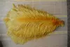 Whole 100 pcs 1618inch Gold ostrich feather plume for wedding centerpiece party event decor festive supply decor3141490