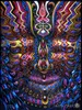 Affiche 32x24 "17x13" Trippy Alex Gray Mur Print Impression Home Decor Stickers Wall Stickers Affiche Affiche - 061