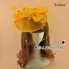 Fabriek Verkoop Fascinator Hoeden Haaraccessoires Handgemaakte Multi Colors Feather Flower Wedding Hats with Face Sluier Birdcage voor Bruiden Dropship