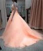 2017 Prinses Sweetheart Applicaties Baljurk Quinceanera Jurk met Tule Lace Up Plus Size Sweet 16 Jurk Vestido Debutante Jurken BQ96