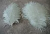 Cały 200pcllot 89 cali biały struś piórka Plumewedding Feather -Centerpieces