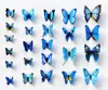 Bebek Etiketler 3D Renkli Kelebek Sticker Sanat Duvar Resmi Kapı Çıkartmaları Ev Dekorasyonu Odası Moda Renkli ve su geçirmez Etiketler