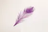 100pcs/lot Colorful Peacock Feathers Eyes 8-10" For Wedding Craft 7 Colors For Choose