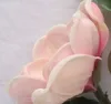 Vendita calda fiore da esposizione vero tocco mangnolia fiore di magnolia artificiale per matrimoni o fiori decorativi per la casa