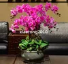 Gerçek dokunmatik orkide yaprağı bitkisi 10pcs Yapay Kelebek Yeşillik Bitkileri Düğün Çiçeği Çiçek Aksesuarları İçin 5 Yaprak