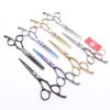 Z9002 6 "440C Fioletowy Dragon Laser Golden Professional Human Włosy Nożyczki Fryzjerskie Nożyczki Fryzjerskie Cięcie Shears Shears Śliwki Uchwyt