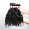 Indian Curly Virgin Hair 7A Jerry Kinky Curly Virgin Hair Brazilian Virgin Hair Tight Curly Weave 3 or 4 pieces Cheap Human Bundles