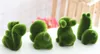 GrassLand artificial grass Cute little animal lovely bear display Decoration Relieve eye fatigue Fake grass furnishing articles DT001