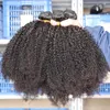Mongolisches Afro-Kinky-Curly-Jungfrau-Haar, Kinky-Curly-Haarwebart, Echthaarverlängerung, natürliche Farbe, doppelte Tressen, färbbar