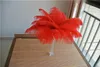 Whole 100 pcslot 1416inch Red Ostrich Feather for wedding table centerpieces wdding decor party supply decor3299104