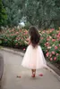 2015 blush rose tulle jupes personnalisé robe de bal femmes jupes longueur du thé de nombreuses couches robes de soirée jupes bon marché avec taille élastique plus la taille