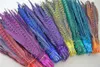 100 unids / lote 12-14 pulgadas turquesa Ringneck faisán cola plumas traje pluma faisán pluma para craft157W