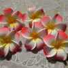 200pcs 5cm hawaian 5colors Artificial PE plumeria Flower Heads DIY wedding party headware decoration