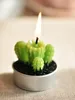 Entièrement rare mini-bougies de cactus décor de plan de plan de plan de table de table de table 6pcslot kawaii décoration usine experte conception de design