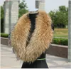 Women's or Men's Fur Scarves With 100% Real Raccoon Fur Collar for Down Coat Nature color Varies Size From Length 75-100236A