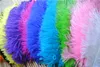 HELA 100PCSLOT 1214INCH3035CM Vit Royal Blue Red Black Turquoise Orange Gold Green Purple Ivory Gold Ostrich Feather7921226