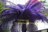 100pcslot 1214inch3035cm Purple Ostrich Feathers for wedding TABLE Decorations feather centerpiece Wedding cent6863102