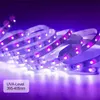 33ft UV Schwarzlicht Streifen 12V Flexibles Schwarzlicht mit 600 Stück UV Lampe Perlen 10M LED Schwarzlicht Band Hochzeitslicht