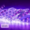 33ft UV Black Light Strip 12 V Elastyczne Blaclight z 600 Jednostki UV Lampy Koraliki 10 M LED Czarne Light Wstążki Światło Ślubne