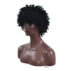 SHUOWEN Parrucca Sintetica Afro Crespi Ricci Simulazione Capelli Umani Parrucche Piene Nere Morbide HRTT-02