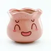 Cute face ceramic pot succulent planter small bonsai smile expression round multi colors garden home decor