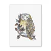 W030 Owl Unframed Art Wall Canvas Prints for Home Decoration