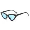 24 Colors Updated Super Cute Cat Eye Sunglasses Frame Colorful Fashion Cateye Sun Glasses Wholesale Eyewear