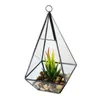 Terrario colgante de pirámide alta, jardinera de latón de vidrio de alta calidad para cactus suculentos, jarrón de centro de mesa geométrico moderno, negro y dorado