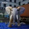 Éléphant gris géant de mascotte d'animal soufflé par air gonflable d'éléphant de représentation extérieure de parade pour le spectacle de zoo et de cirque