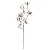 GUIGUI 1pcs dried natural flower bouquets dried natural cotton branch flower bouquets one branch have 10 flowers