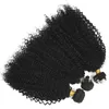 4b 4c Bulk Human Hair per intrecciare le estensioni dei capelli arcuati afro ricci peruviani nessun attaccamento fdshine2724778