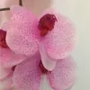 하나의 진짜 터치 난초 꽃 인공 시뮬레이션 좋은 품질의 나비 난초 난초 결혼식 꽃을위한 라텍스 접촉