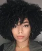 Czarowne Kobiety Krótki Bob Kinky Curly Wig Brazylijski Włosy Afryki Ameryka Symulacja Ludzki Włosy Kędzierzawa Peruka Dla Panie