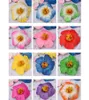 100pcs 9cm köpük frangipane frangipani çiçek sinensis çiçek kafa yapay tropikal hibiscus 16 renk
